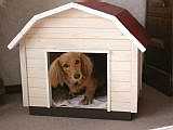 小型室内用犬小屋